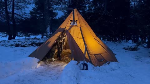 3 Days WINTER CAMPING in SNOW With Dog. -13° wilderness SURVIVAL. Bushcraft Skills. Stove Cooking