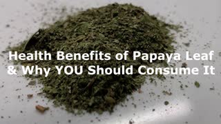 Health benefits of Papaya Leaf Tea