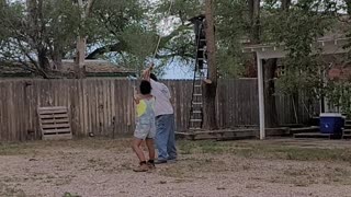 Cutting down a tree