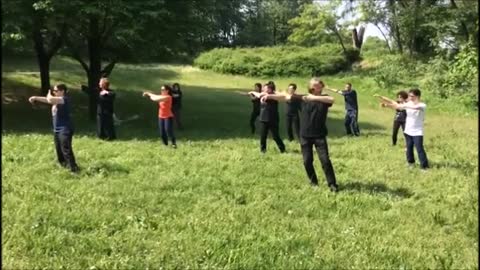 Tai chi yang style private form