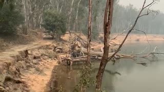 Smoke Over the Murray River