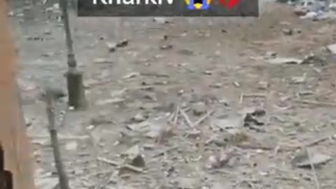 Russian forces bomb Independence Square in Kharkov Ukraine