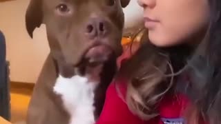 How dogs react to being kissed..😍