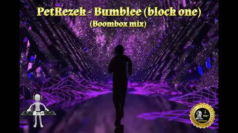 7) PetRezek - Bumblee Boombox