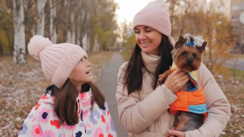 A woman and her daughter are walking together on an autumn evening with a Yorkshire terrier puppy