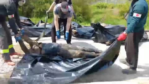 Ukraine War - Russian soldiers collect the bodies of the dead soldiers (Graphic)