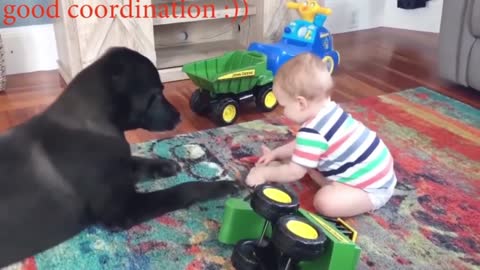 Dogs are the best friend of Babies 26