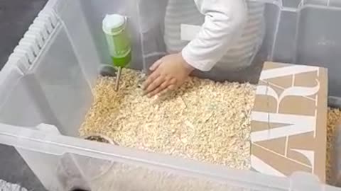 Child playing with a hamster