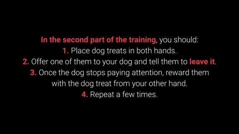 🐕TOP 10 Essential Commands Every Dog Should Know - Basic Gog Training