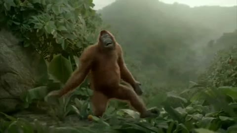 Must Watch: Tony The Dancing Orangutan!