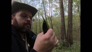 Yellow Morels, Ramps, and other wild plants.