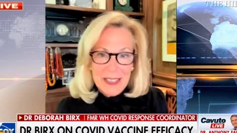 Shut Down the Virus, Not the Economy - Joe Biden - Dr. Birx Vaccines Didn't Work