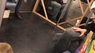 Man brings a big wooden rectangle frame with him on subway train