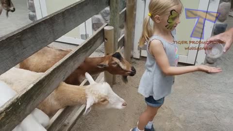 FUNNY KIDS VS ZOO ANIMALS