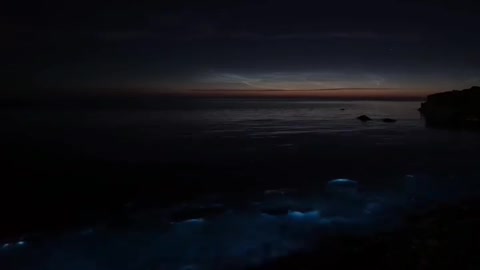 Sea of Stars. Navarre Beach, Florida