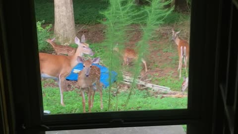 Morning traffic jam.