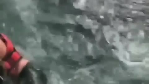 Man Jumps into the Water