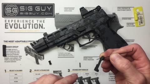 Sig Guy website Armory Craft P320 extended mag release removal & installation video