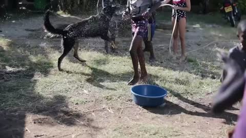 Caucasian and African children having fun with dog together, hose with water