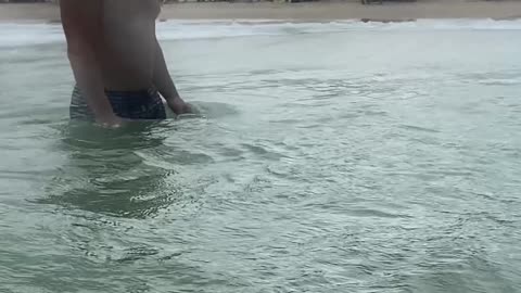 Curtindo uma tarde na praia de Quatro Ilhas, Bombinhas - SC | Som Ambiente