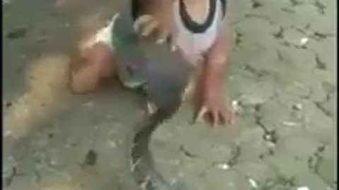 enfant qui joue avec un serpent