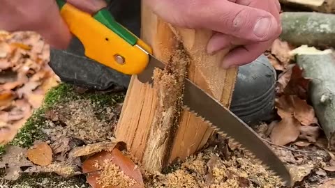 Swedish FIRE 🔥 with a Hand SAW.