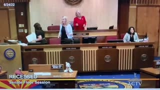 The Moment Arizona State Capitol was Disrupted Because of the Pro-Abortion Rioters