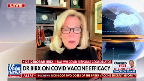 600M Doses Later, Dr. Birx Admits She “Knew” Vaccines “Were Not Going to Protect Against Infection”