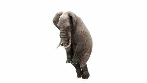 CG rendering of the flying elephant. Loop animation