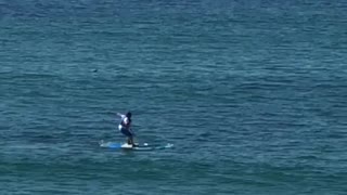 Guy tries to stand on a surfboard and he falls off