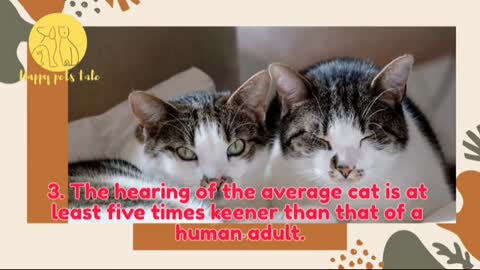 10 Fascinating Facts About Cats.!!! (Learn More About Your Cat!!!) (pets)