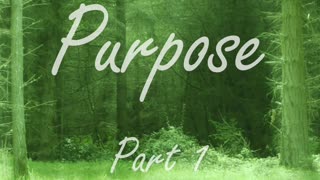 Our Purpose - part 1