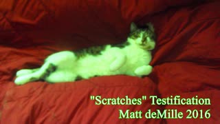 Testification: Scratches