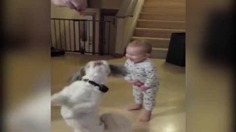 Adorable Baby And Puppy Go For A Spin To Get Snacks