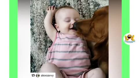 Funny Babies Laughing Hysterically at Dogs Compilation - dogs and babies