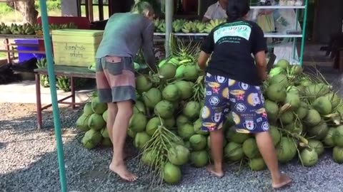 Have You Ever Seen A Durian This Big?