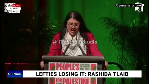 Lefties losing it: Rita Panahi blasts Rashida Tlaib 'simping' for a 'racist culture'