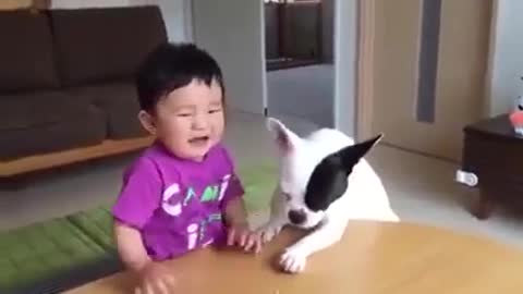Dog and cute kid! - Funny doggy Reaction!