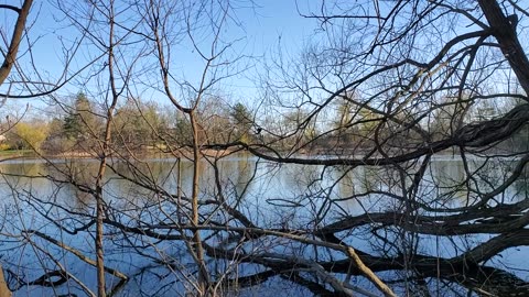 Neighborhood Pond at Sunset