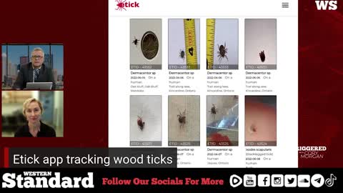 EXCLUSIVE: Jade Savage speaks on the Etick app tracking wood ticks