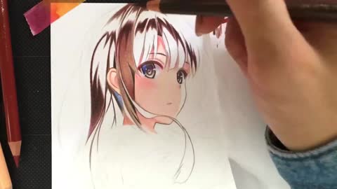 The coloring of anime characters