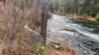 Winter Shoreline of Metolius River – Central Oregon – 4K