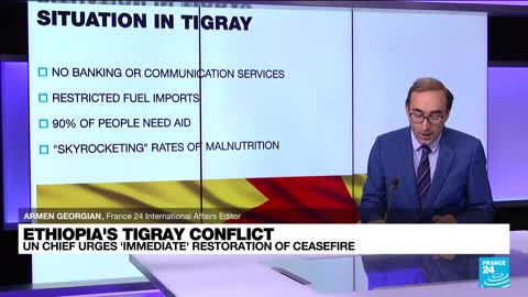 Fighting flares once more in Ethiopia's Tigray conflict • FRANCE 24 English