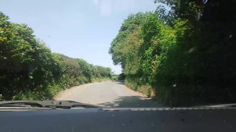 Driving at high speed on very small roads and green trees all around