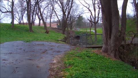 Collingdale Park and the woods beyond