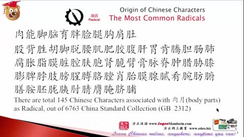 Origin of Chinese Characters - 2178 膝 xī knee