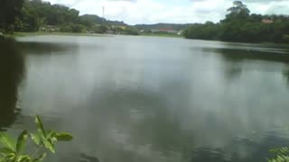 Pretty view of weir next the leaves on bridge, beautiful natural landscape [Nature & Animals]