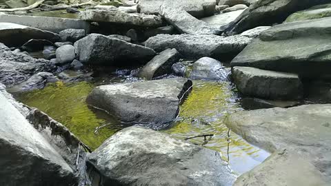 Slow Mo Zen of a Babbling Brook