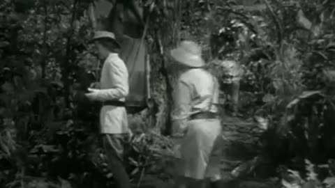 Abbott and Costello - Africa Screams