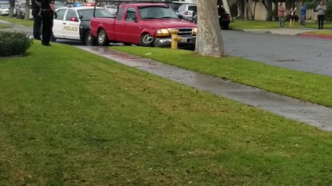 Driver Arrested After Crashing into Palm Tree, Fire Hydrant